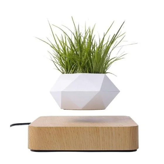 Levitating plant pot
