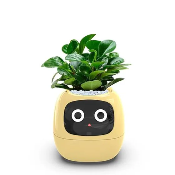 Smart plant pot